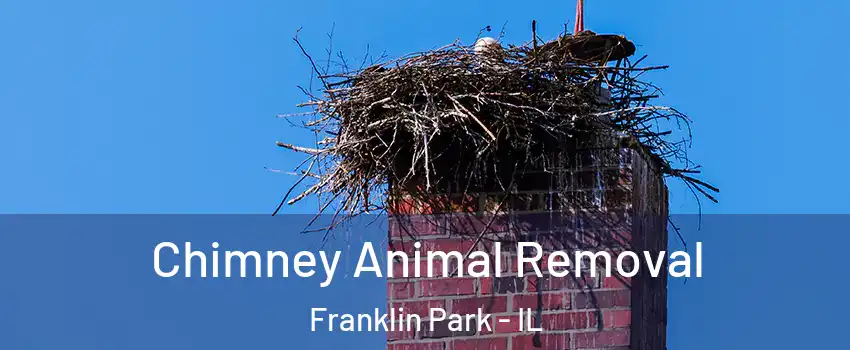  Chimney Animal Removal Franklin Park - IL