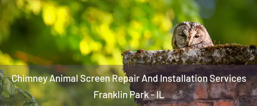  Chimney Animal Screen Repair And Installation Services Franklin Park - IL