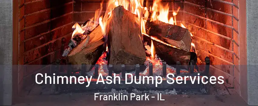  Chimney Ash Dump Services Franklin Park - IL