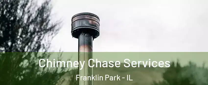  Chimney Chase Services Franklin Park - IL
