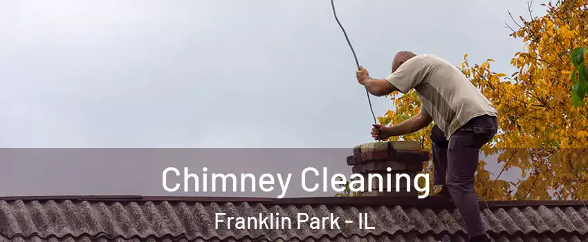  Chimney Cleaning Franklin Park - IL