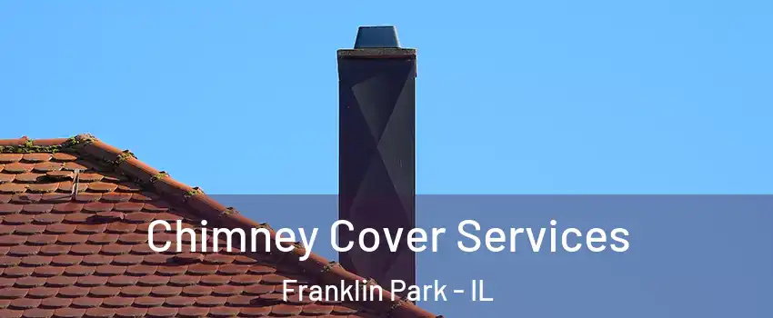  Chimney Cover Services Franklin Park - IL