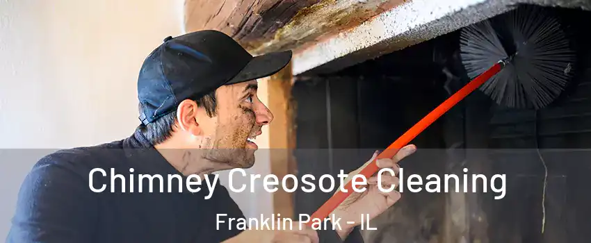  Chimney Creosote Cleaning Franklin Park - IL