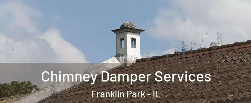  Chimney Damper Services Franklin Park - IL