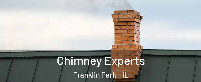  Chimney Experts Franklin Park - IL