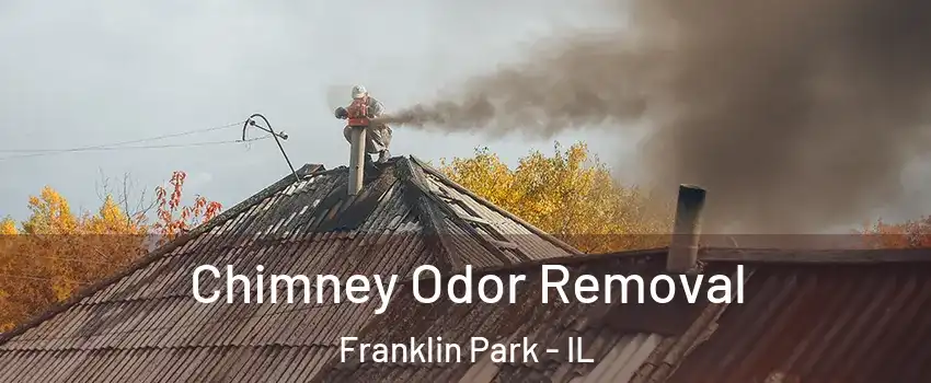  Chimney Odor Removal Franklin Park - IL
