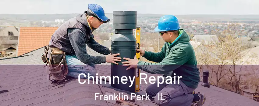  Chimney Repair Franklin Park - IL