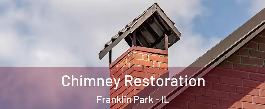  Chimney Restoration Franklin Park - IL