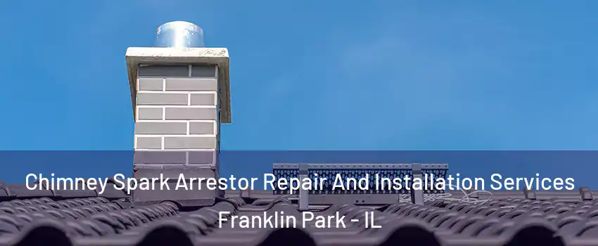 Chimney Spark Arrestor Repair And Installation Services Franklin Park - IL