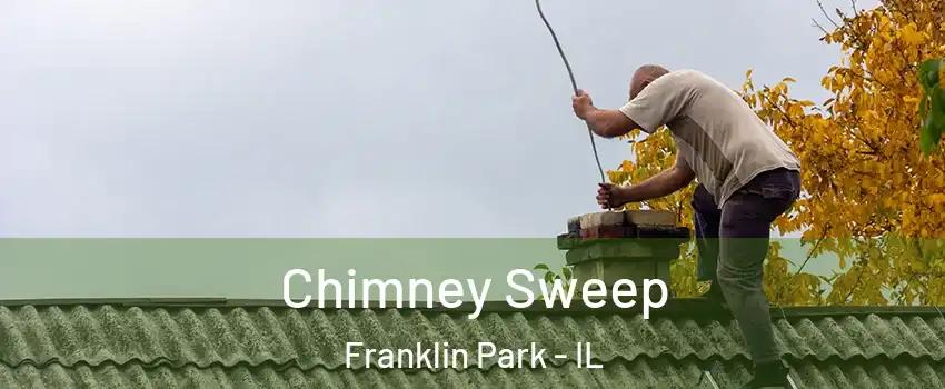  Chimney Sweep Franklin Park - IL