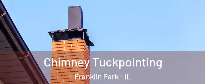  Chimney Tuckpointing Franklin Park - IL