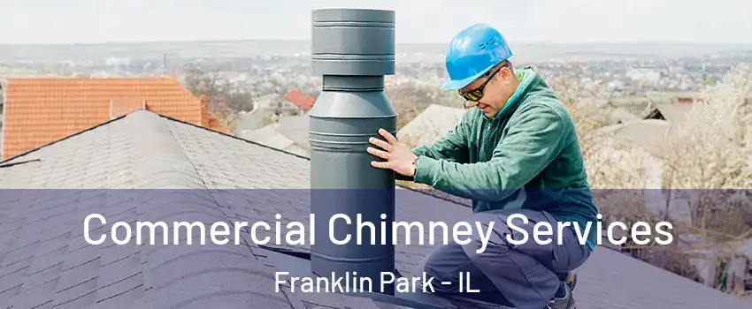  Commercial Chimney Services Franklin Park - IL