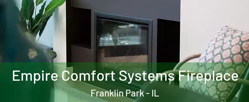  Empire Comfort Systems Fireplace Franklin Park - IL
