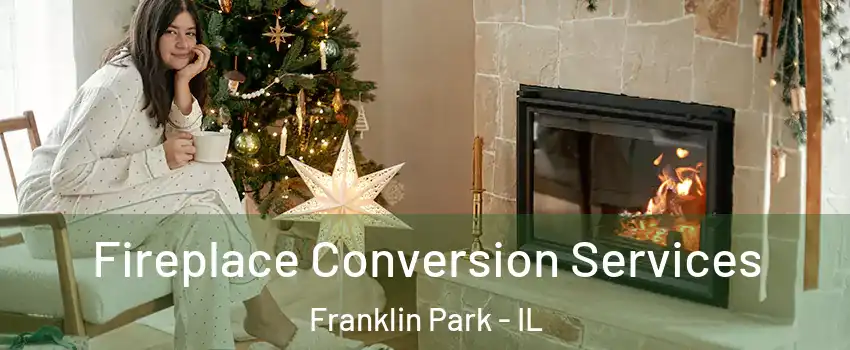  Fireplace Conversion Services Franklin Park - IL