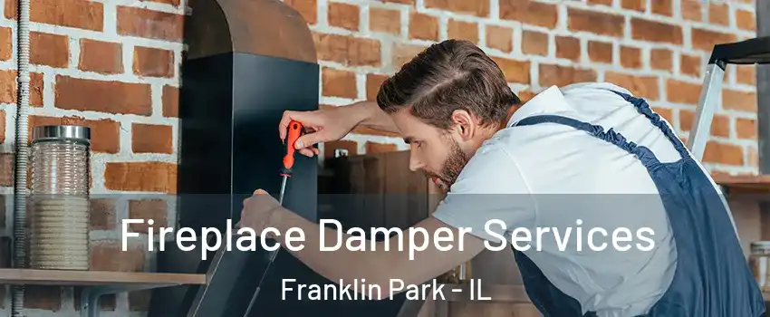  Fireplace Damper Services Franklin Park - IL