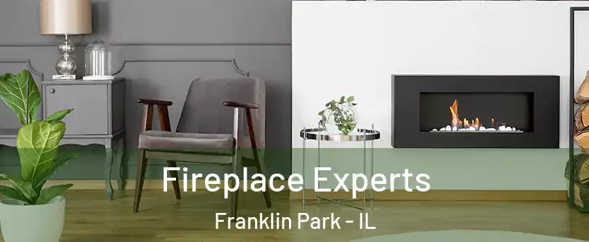  Fireplace Experts Franklin Park - IL