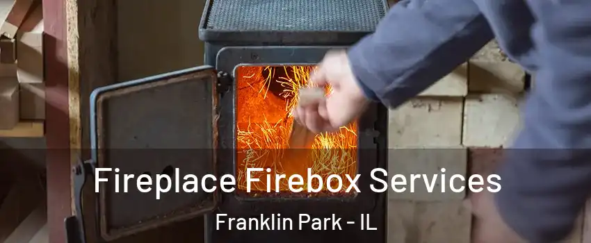  Fireplace Firebox Services Franklin Park - IL