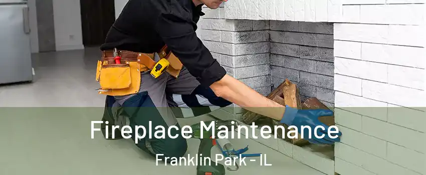  Fireplace Maintenance Franklin Park - IL