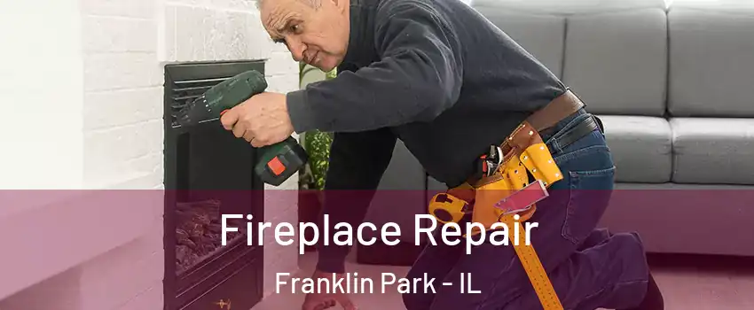  Fireplace Repair Franklin Park - IL