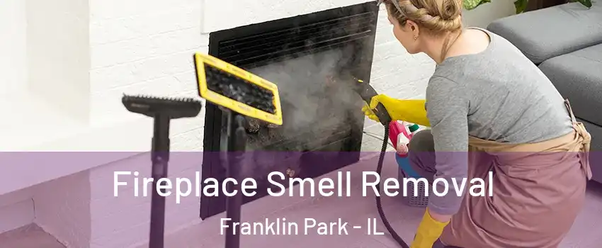  Fireplace Smell Removal Franklin Park - IL