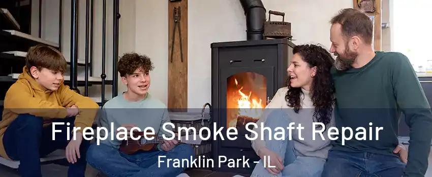  Fireplace Smoke Shaft Repair Franklin Park - IL