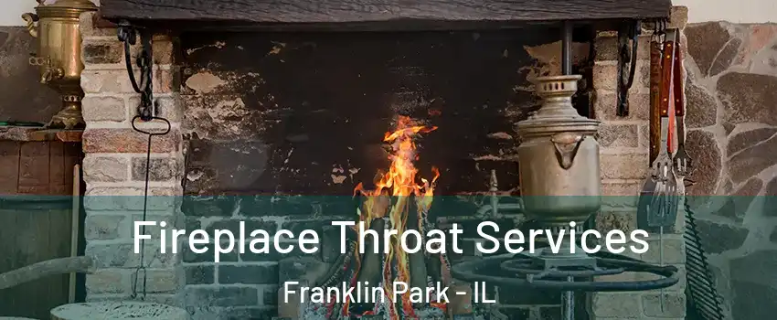  Fireplace Throat Services Franklin Park - IL
