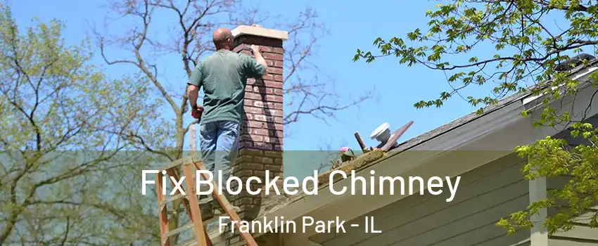  Fix Blocked Chimney Franklin Park - IL