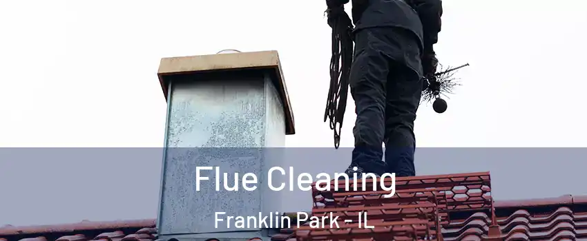  Flue Cleaning Franklin Park - IL