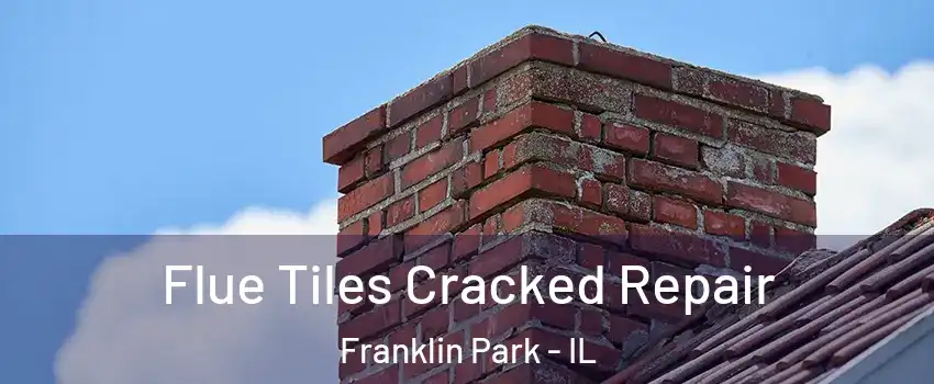 Flue Tiles Cracked Repair Franklin Park - IL