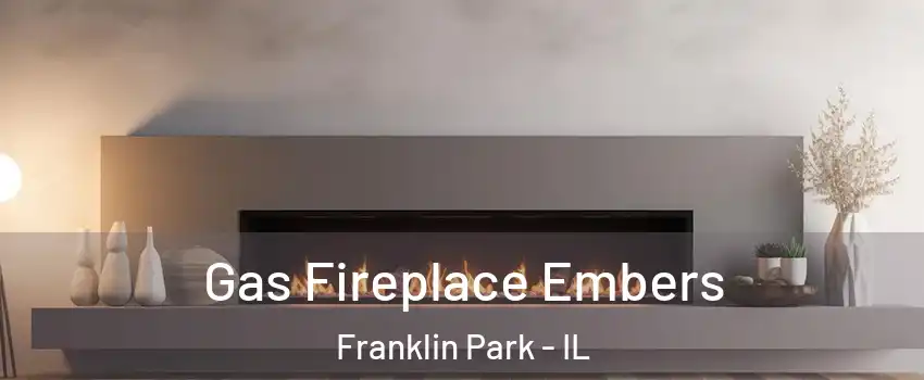  Gas Fireplace Embers Franklin Park - IL