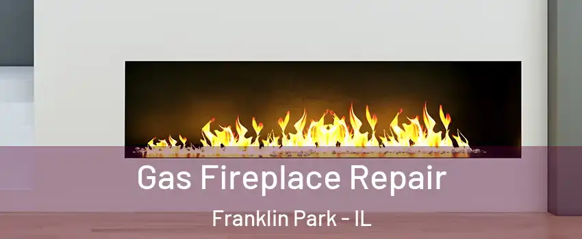  Gas Fireplace Repair Franklin Park - IL