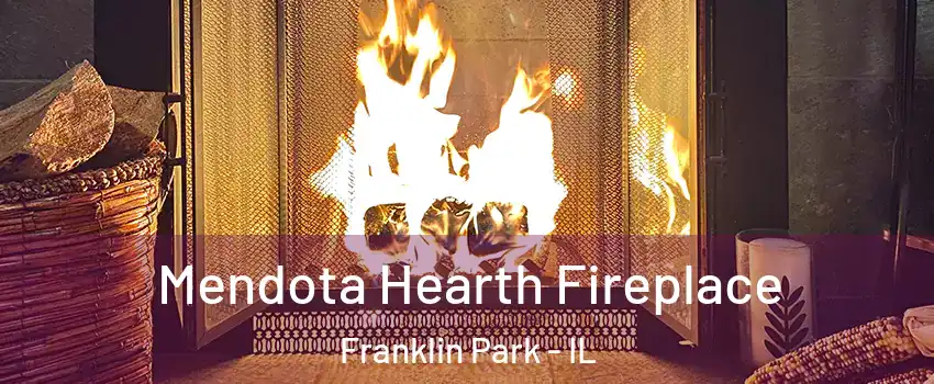  Mendota Hearth Fireplace Franklin Park - IL