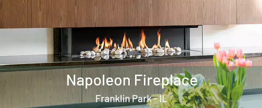  Napoleon Fireplace Franklin Park - IL