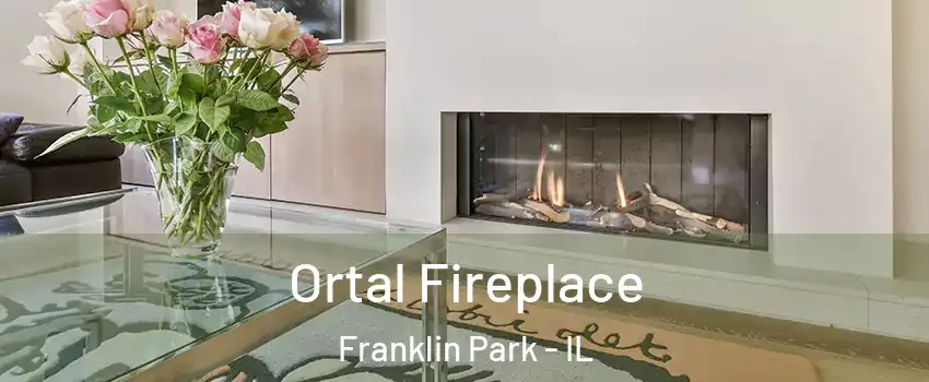  Ortal Fireplace Franklin Park - IL
