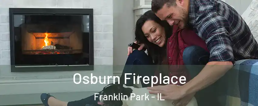  Osburn Fireplace Franklin Park - IL