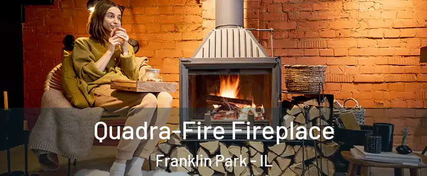  Quadra-Fire Fireplace Franklin Park - IL
